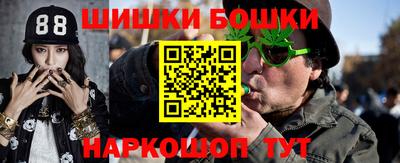 шишки Заволжье