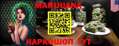 шишки Заволжье