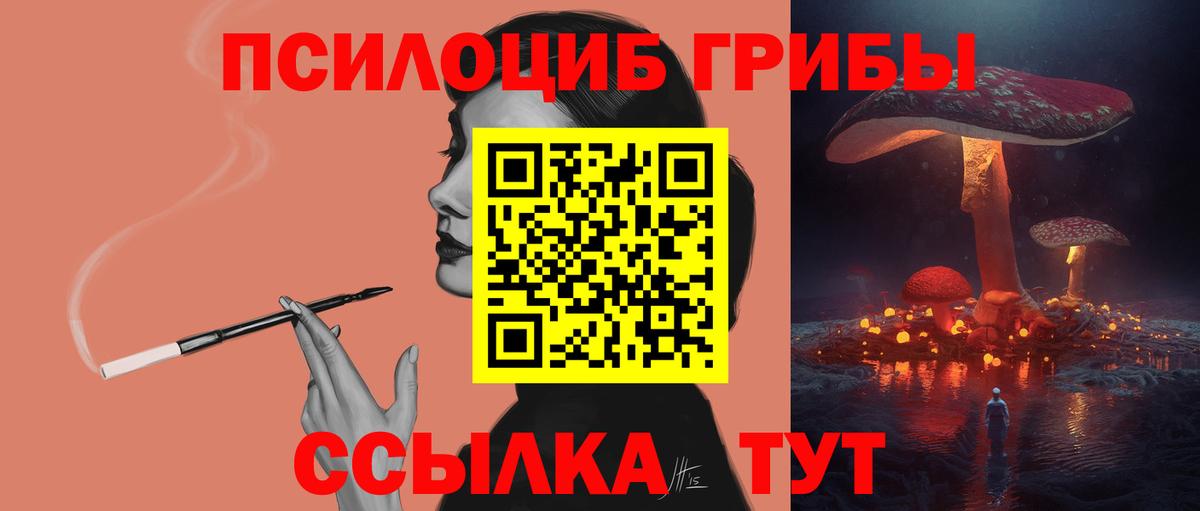 Галлюциногенные грибы прущие грибы Городец